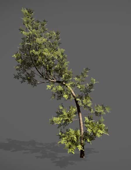 Florasynth Tree Generator