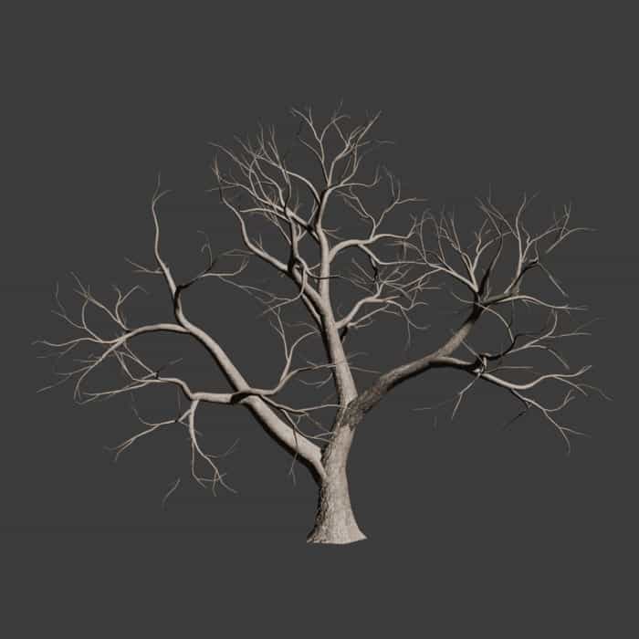 Florasynth Tree Generator